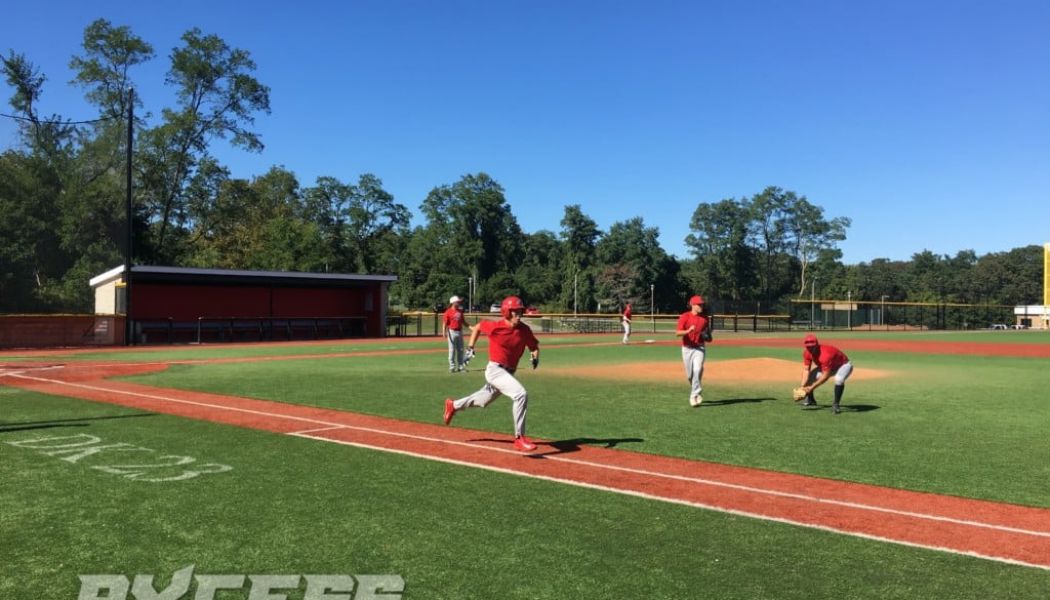 Fall Ball Series: Stony Brook