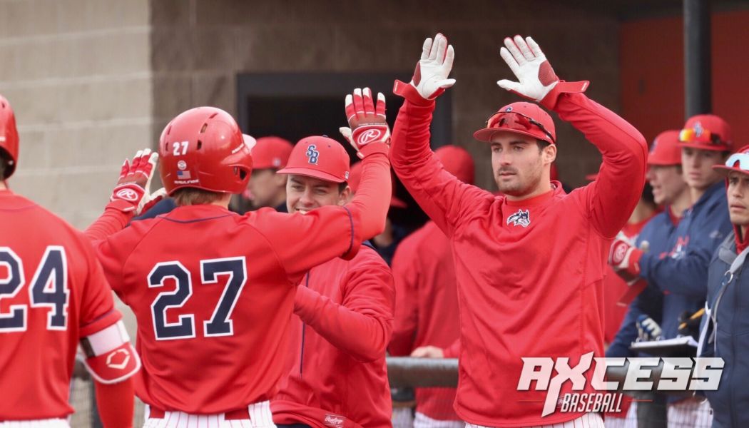 Stony Brook Rolls Past LIU Brooklyn, 9-3