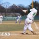 Josh Loeschorn Fires 4-Hit Shutout to Keep LIU Post Rolling