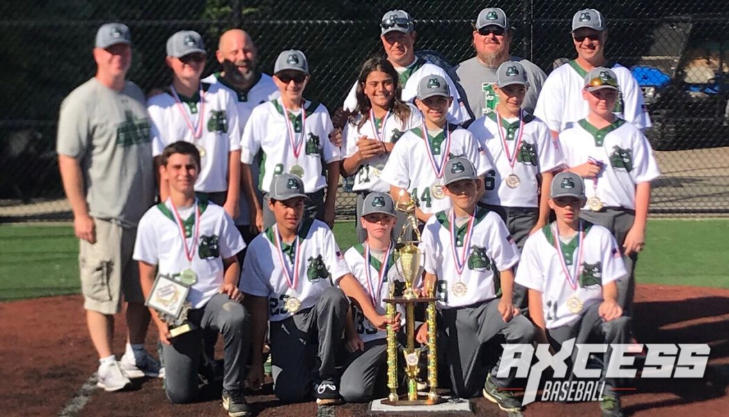 Farmingdale’s Resiliency Wins Them the 12U Championship Over Batting 1.000