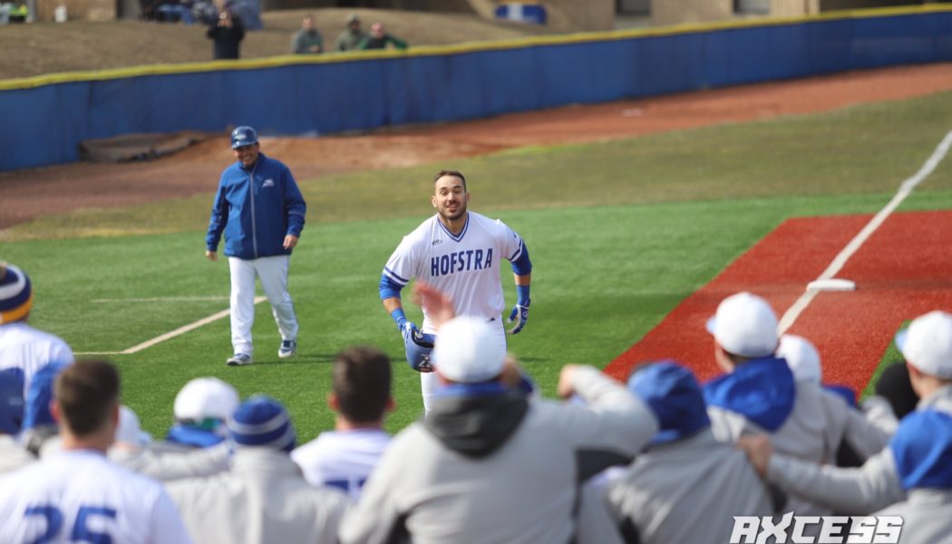 How Did the Local Minor Leaguers Fare in 2019?