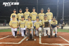 Ynoa Shines on the Mound in 4-0 Win in Tournament Championship