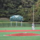 Fall Ball Series Powered by Baseball Lifestyle: Farmingdale State College