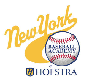 ny baseball baseball academy