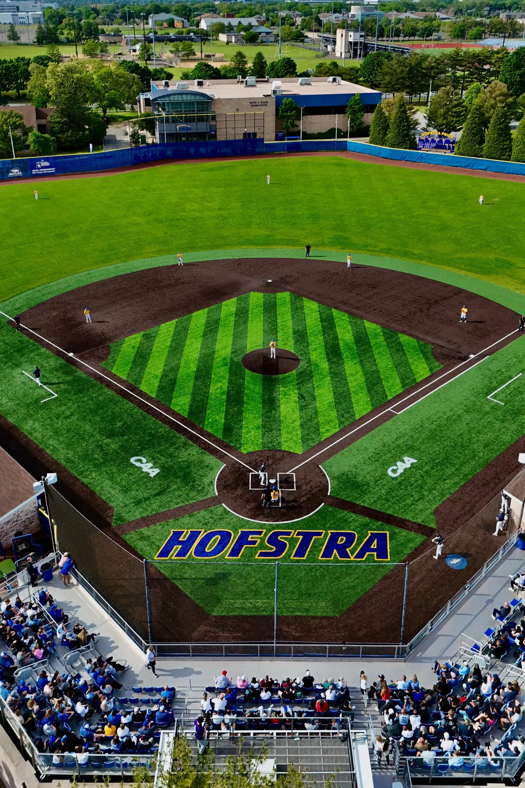 Hofstra